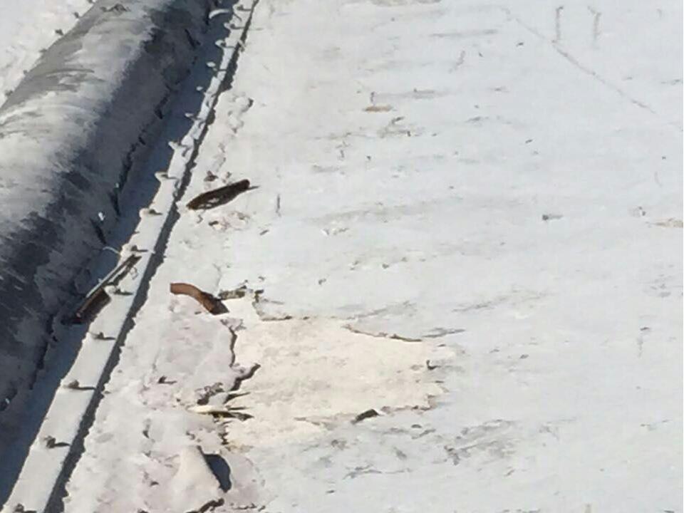 防護前 (2).jpg 防護前 (2).jpg