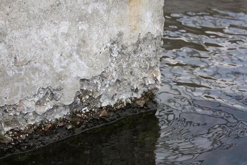 1606285379267212.jpg 1606285379267212.jpg