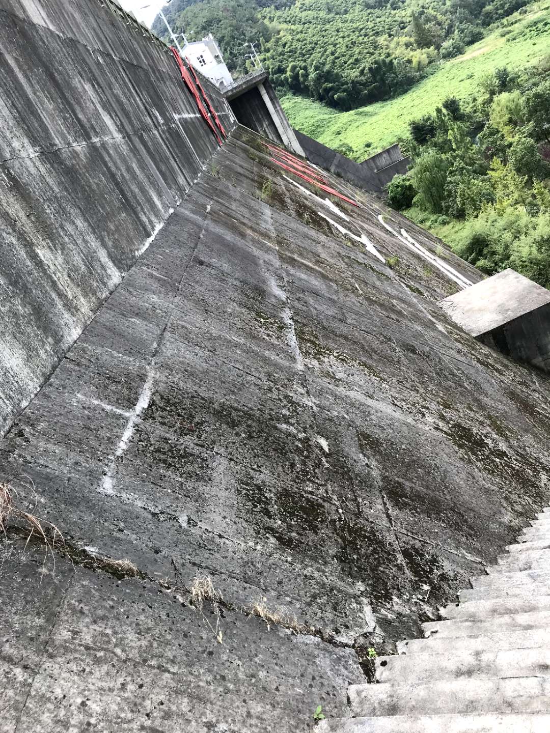 1606285438671227.jpg 1606285438671227.jpg