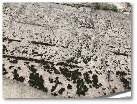 1602505455198977.png 1602505455198977.png